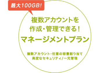 複数アカウントを、作成・管理できる、最大100GBのマネージメントプラン。