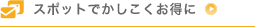 スポットでかしこくお得に